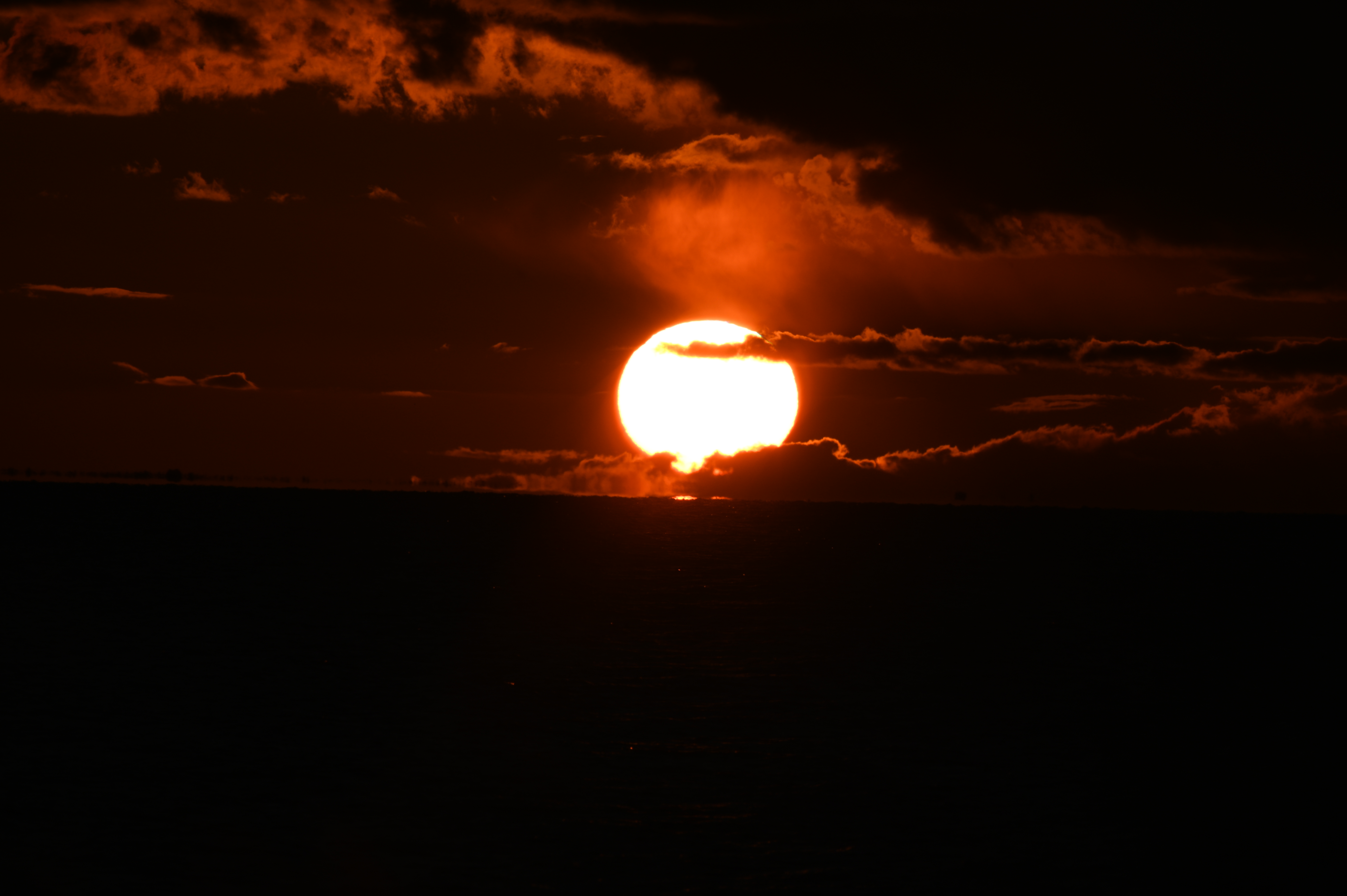 2025/10/18 - walk/DSC_0459.JPG